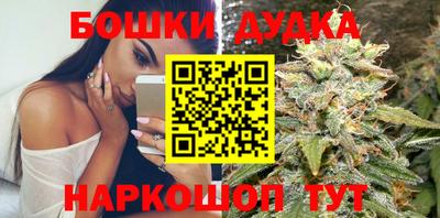 эйфоретик Новокубанск
